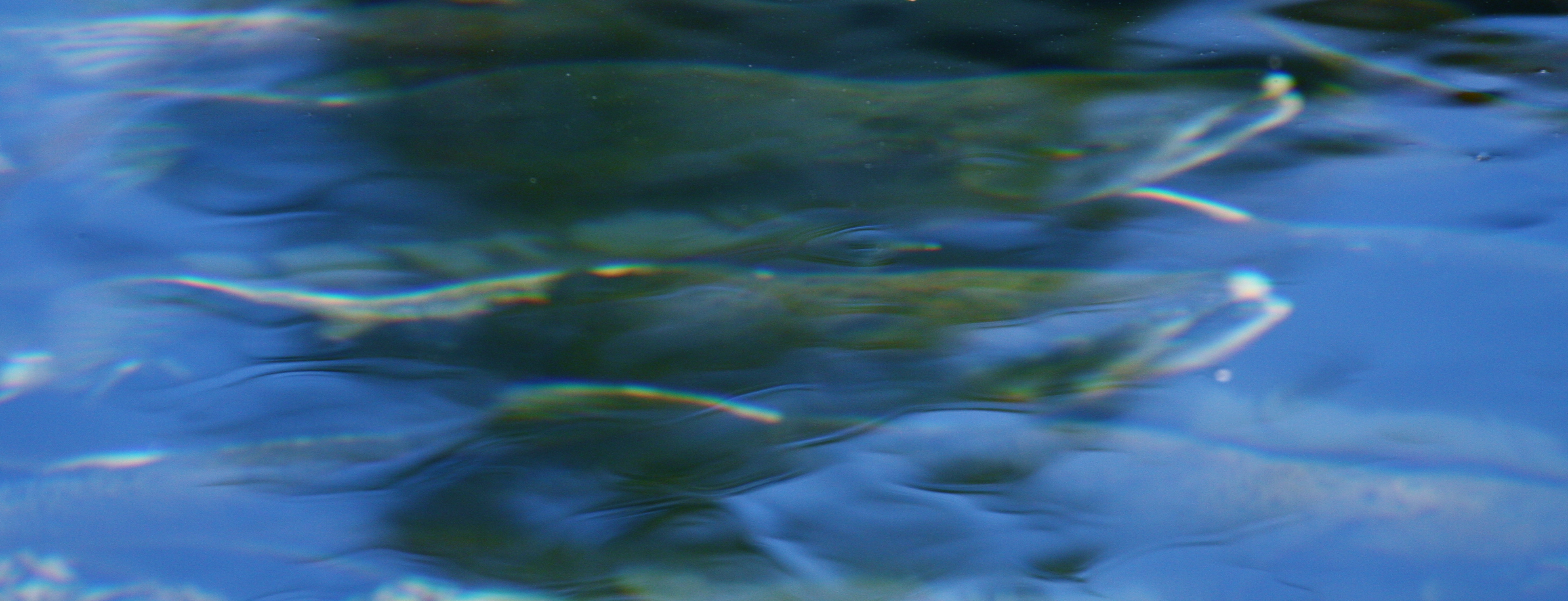 Nimpkishpinks Nimpkishpinks