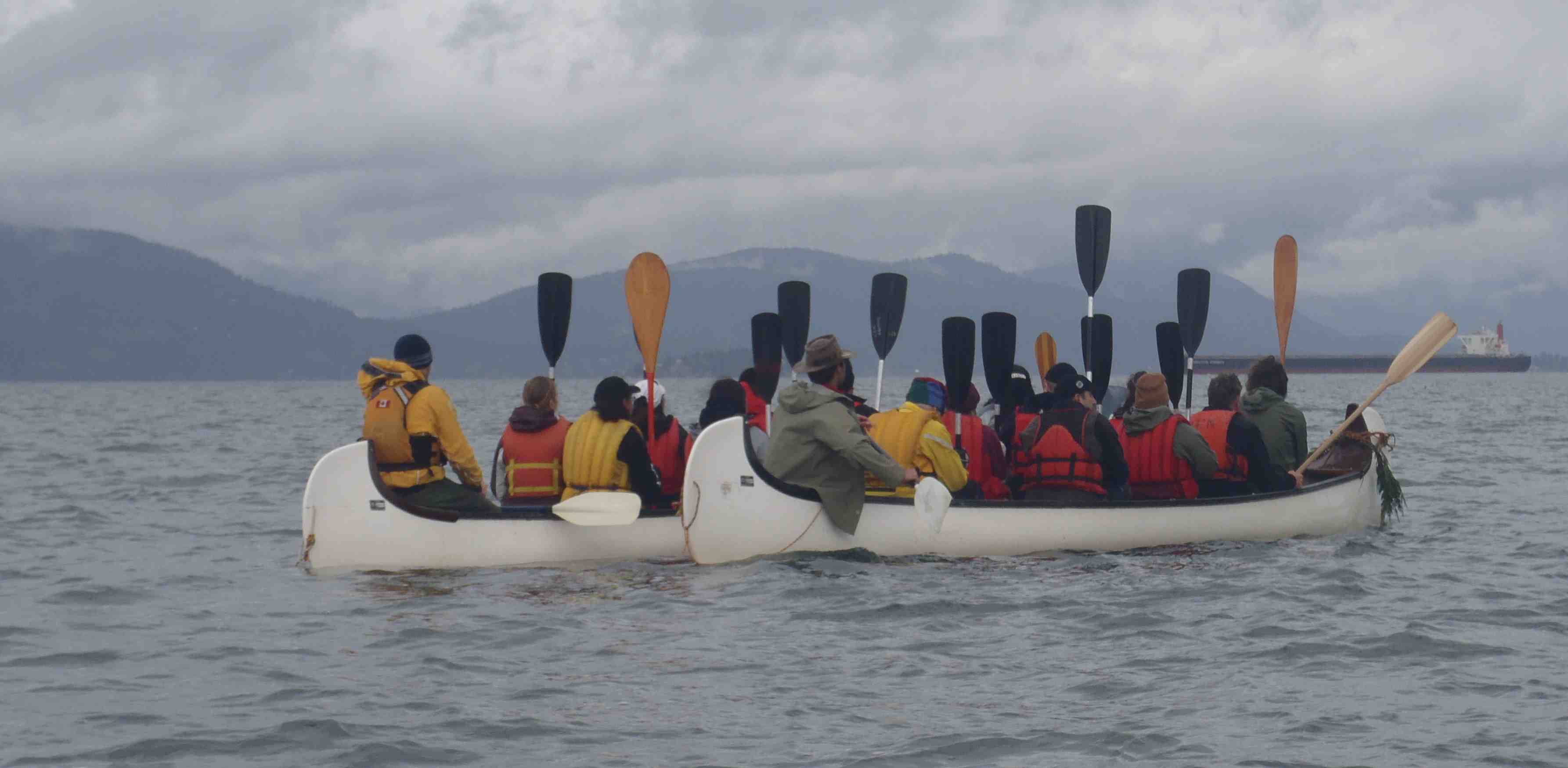 Paddles up grey Paddles up grey