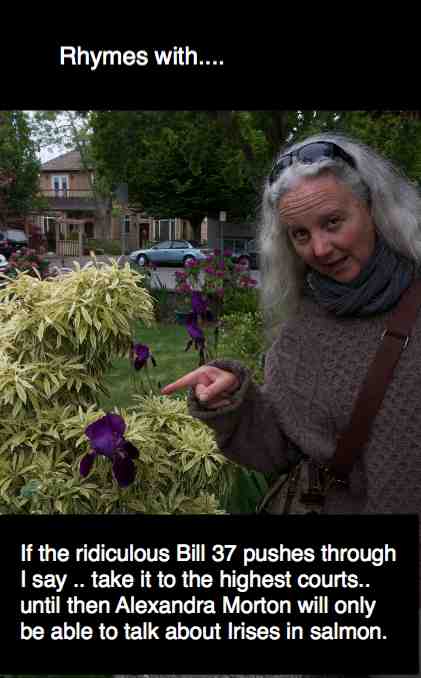 IPhoto-20120529-233611 IPhoto-20120529-233611