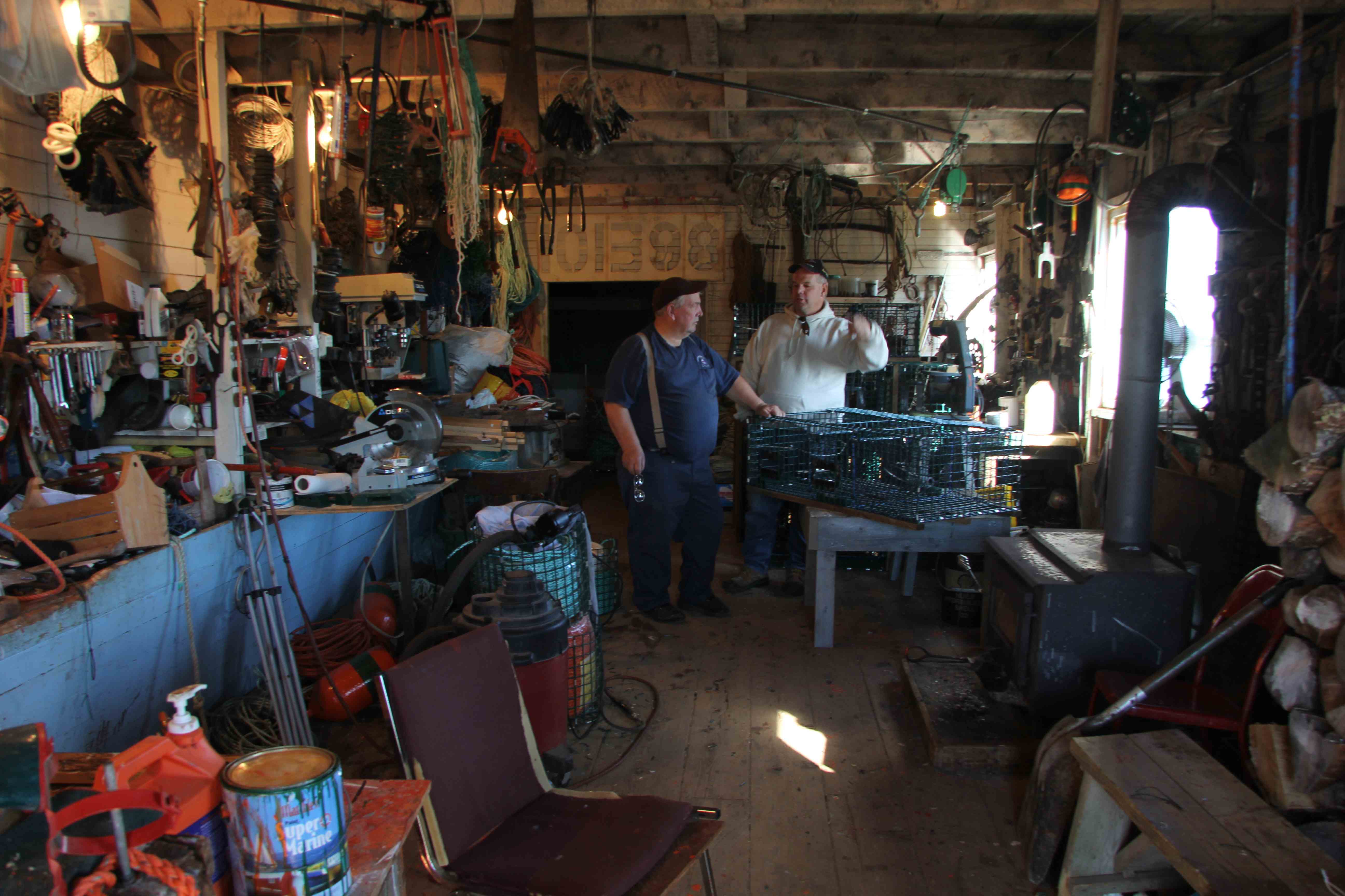 Shed Shed