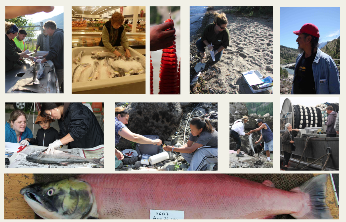 Screen Shot 2012-11-11 at 12.01.47 PM Screen Shot 2012-11-11 at 12.01.47 PM