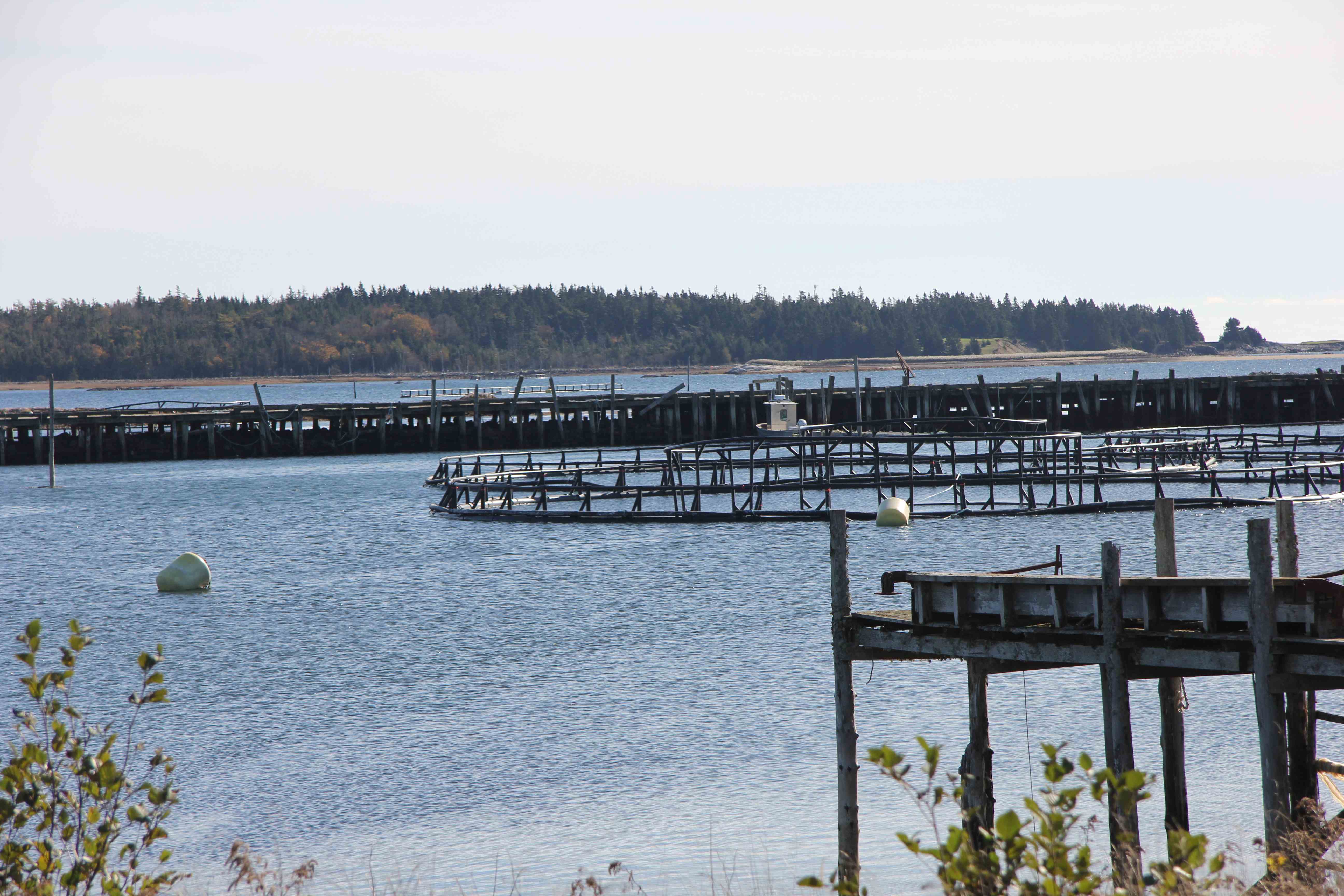 Docks and nets Docks and nets