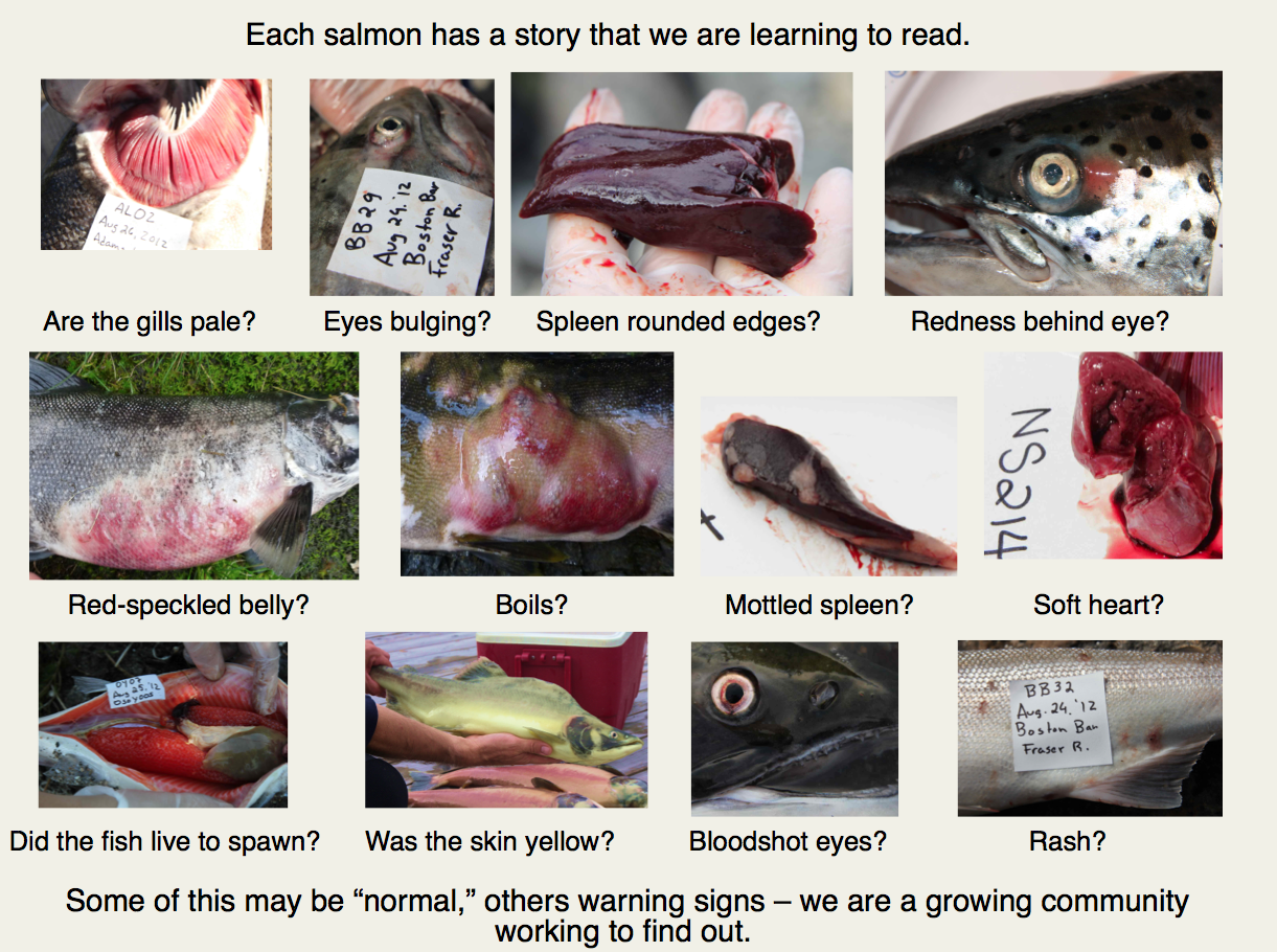 Screen Shot 2012-11-11 at 12.02.02 PM Screen Shot 2012-11-11 at 12.02.02 PM