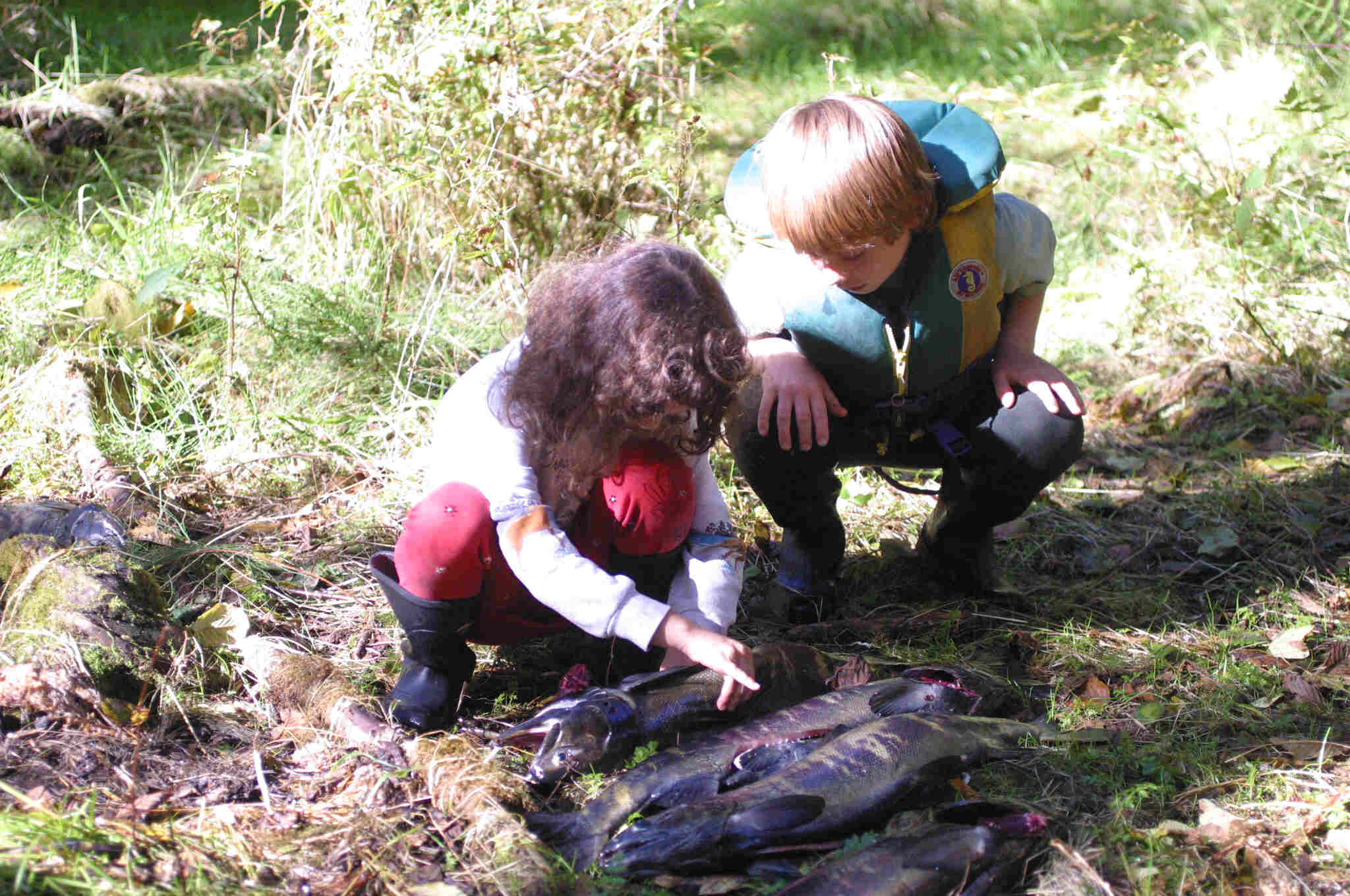 Junior scientists Junior scientists