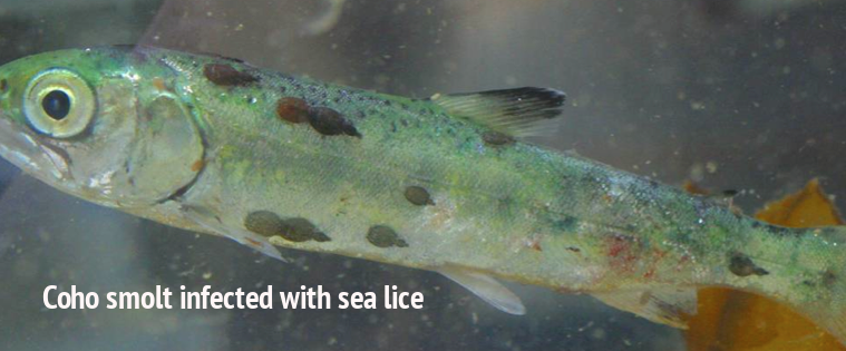 Screen Shot 2012-07-11 at 7.36.17 PM Screen Shot 2012-07-11 at 7.36.17 PM