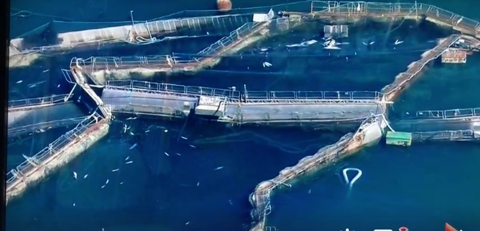 Screen Shot 2017-08-26 at 2.52.47 PM Screen Shot 2017-08-26 at 2.52.47 PM