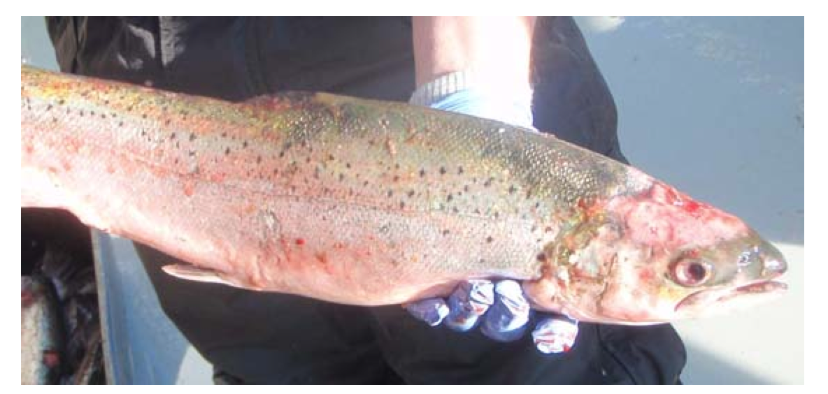 Screen Shot 2015-01-23 at 12.08.01 PM Screen Shot 2015-01-23 at 12.08.01 PM