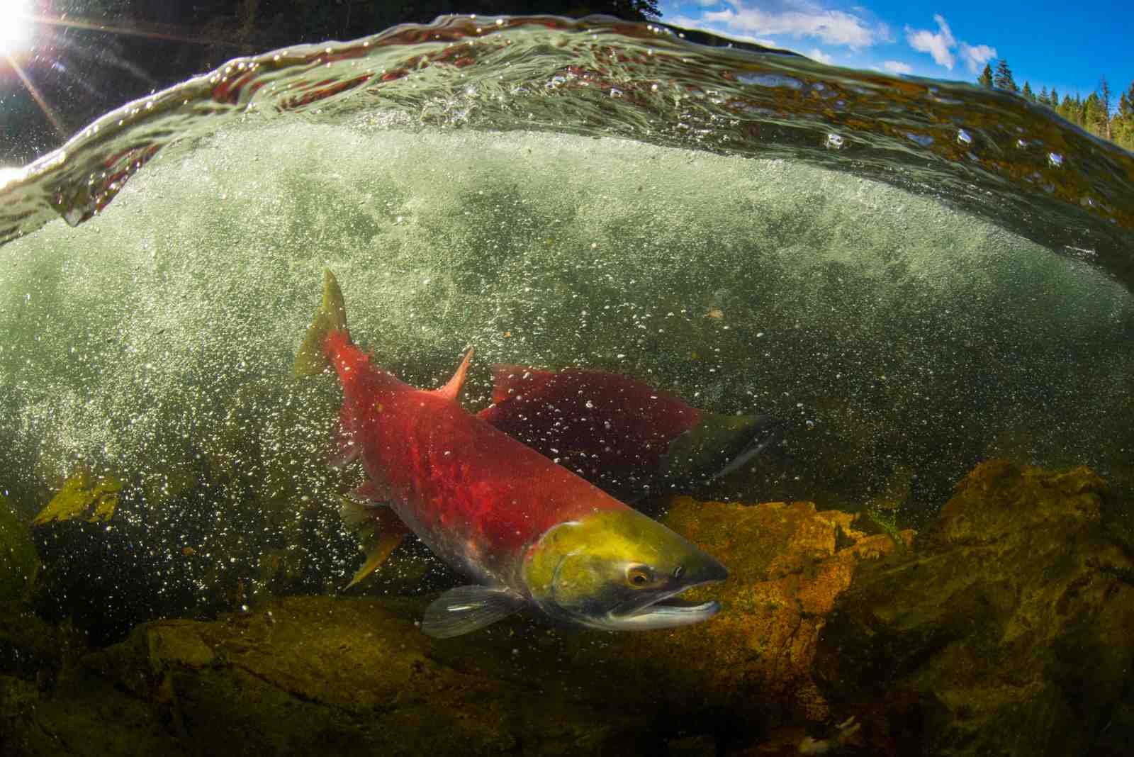 CAMPBELL_PORTFOLIO_10-SM CAMPBELL_PORTFOLIO_10-SM