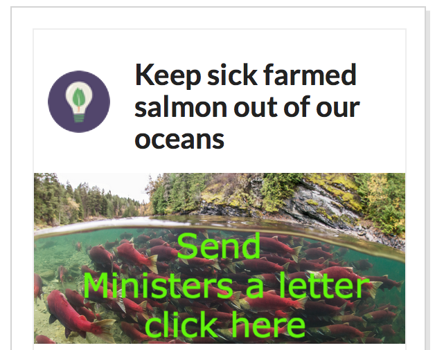 Screen Shot 2016-05-06 at 11.59.05 AM