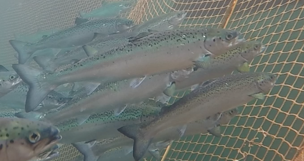 Screen Shot 2016-10-05 at 10.26.15 PM Screen Shot 2016-10-05 at 10.26.15 PM