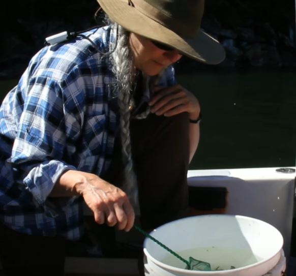 Screen Shot 2017-02-17 at 7.35.33 AM Screen Shot 2017-02-17 at 7.35.33 AM