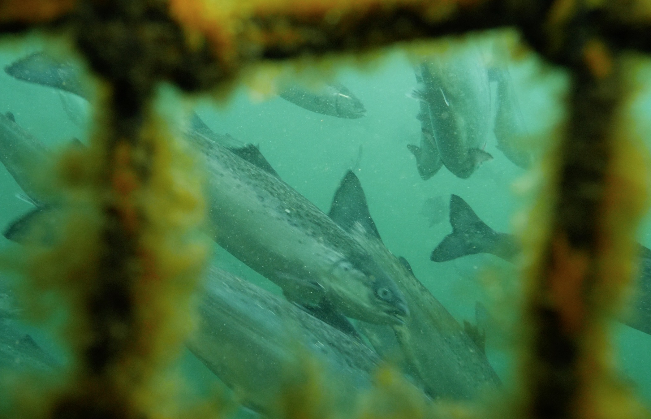 Screen Shot 2017-08-05 at 4.01.01 PM Screen Shot 2017-08-05 at 4.01.01 PM