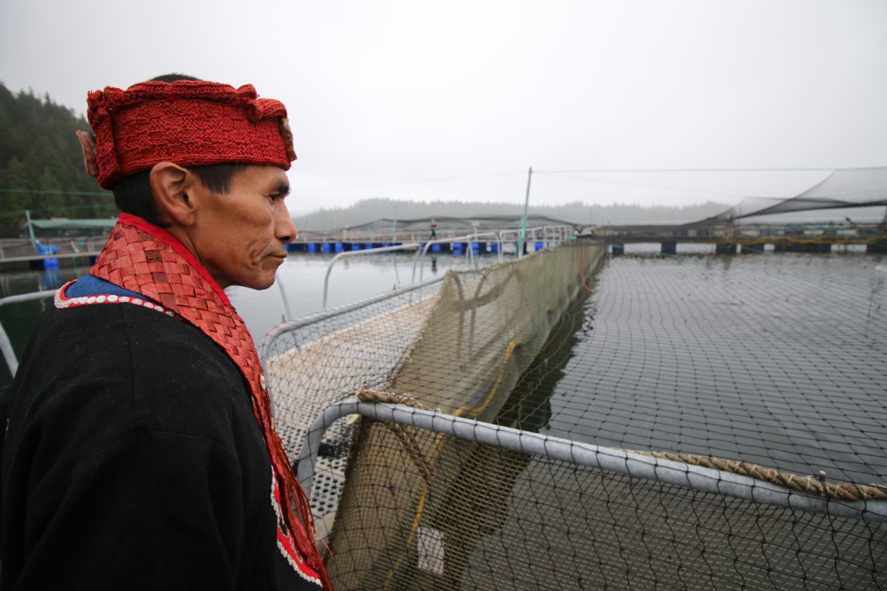 Hereditary leader serves salmon farm an eviction notice Hereditary leader serves salmon farm an eviction notice