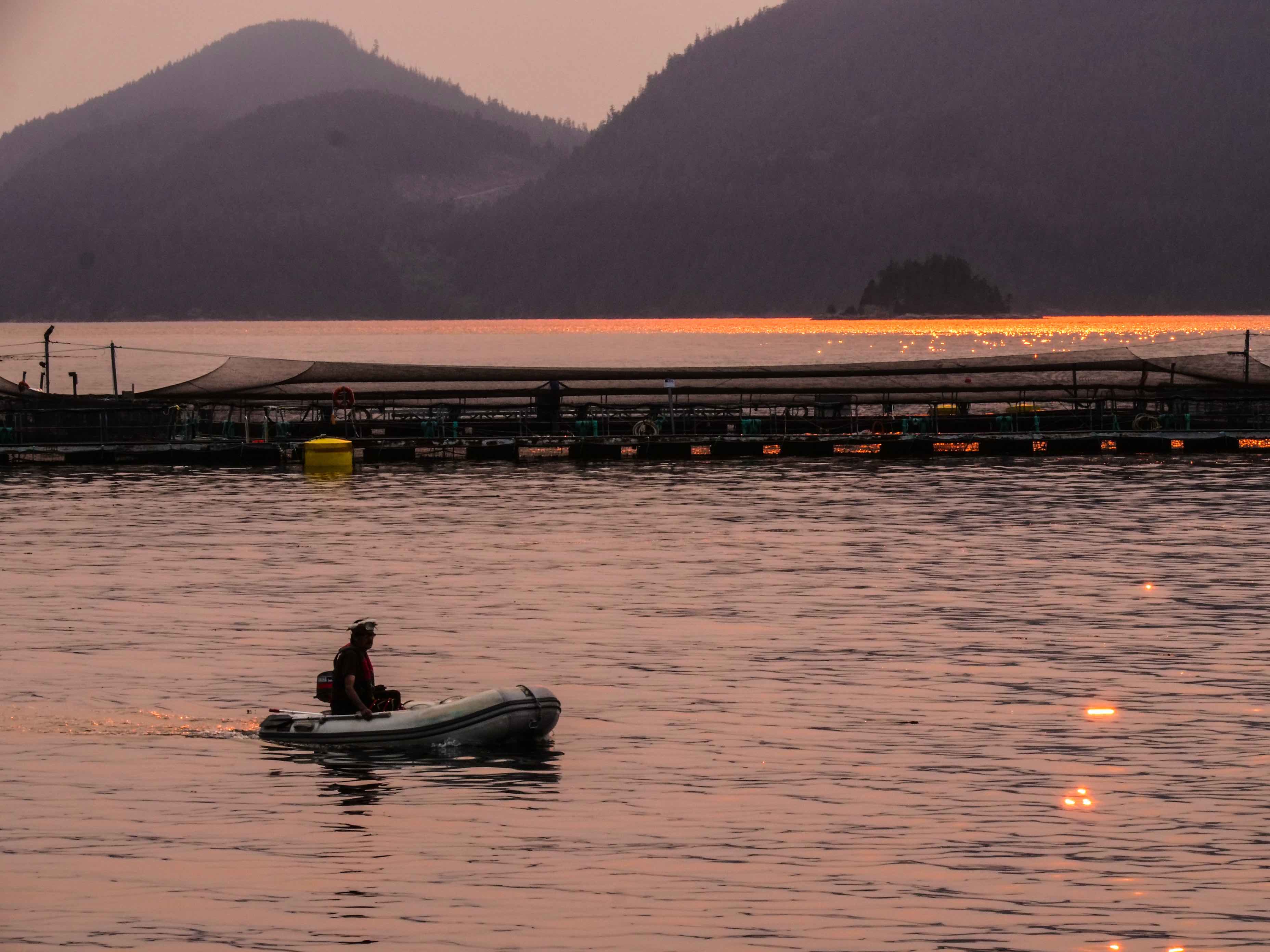 George sunset smokesm George sunset smokesm