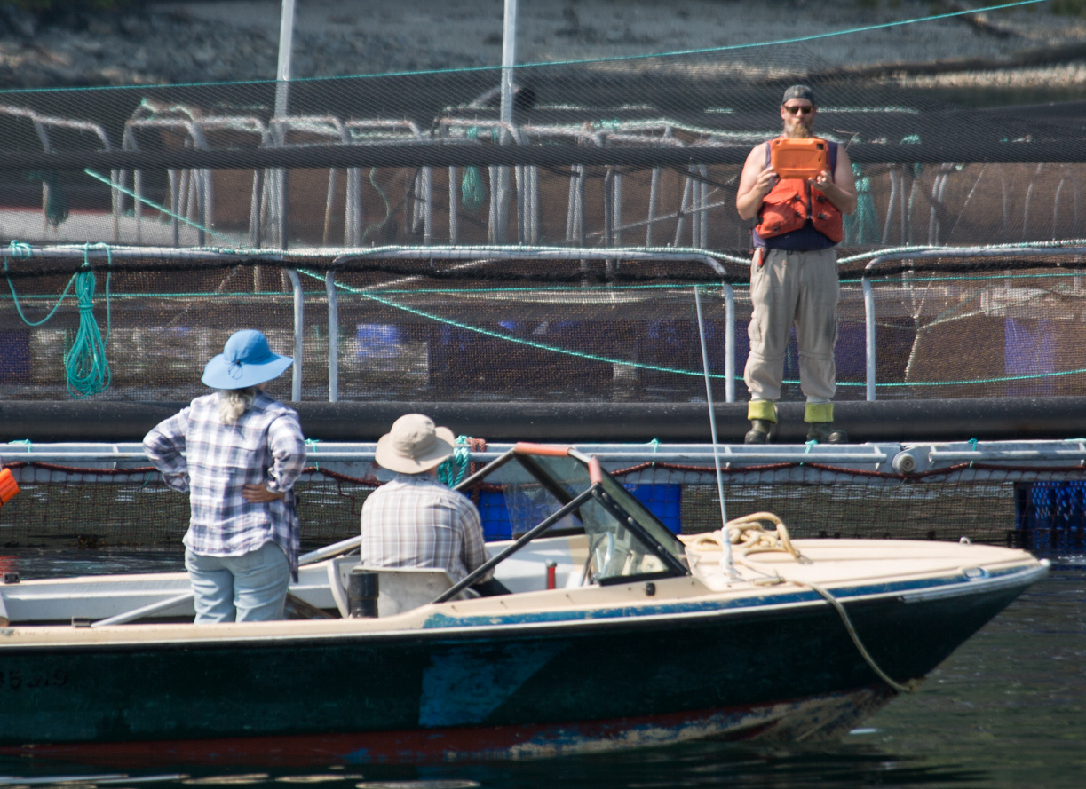 Looking at fish farm Looking at fish farm