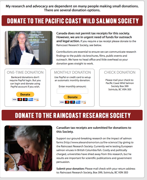 Screen Shot 2019-02-13 at 10.07.42 AM