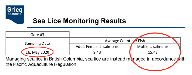 Screen Shot 2020-11-13 at 8.37.28 PM Screen Shot 2020-11-13 at 8.37.28 PM