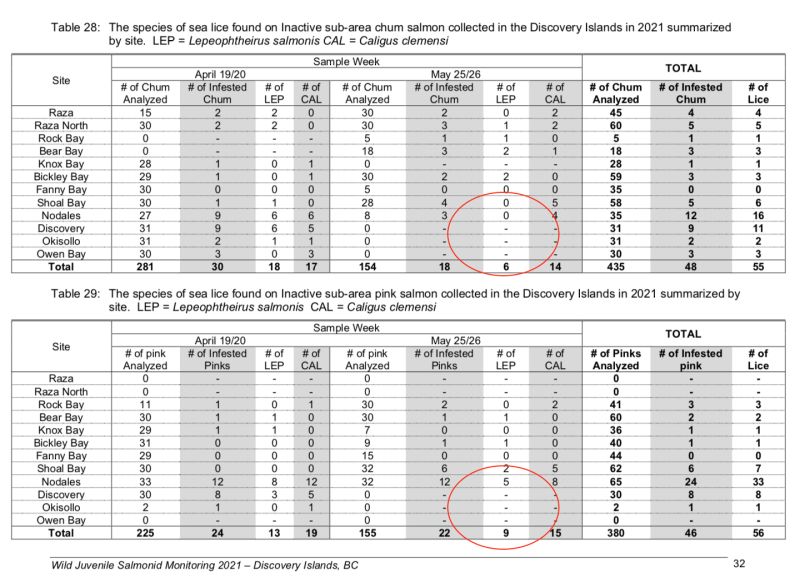 2021 mainstream 2021 mainstream
